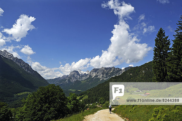 Berchtesgaden Alps with a hiker walking along a hiking trail  Reiteralpe Mountain at the rear