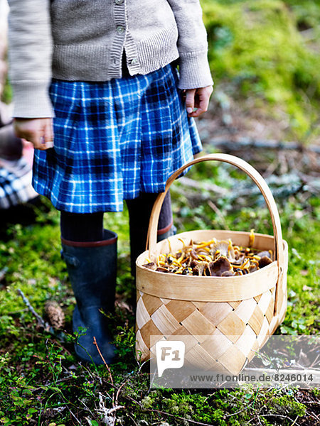 Girl with basket full of mushroom standing in forest