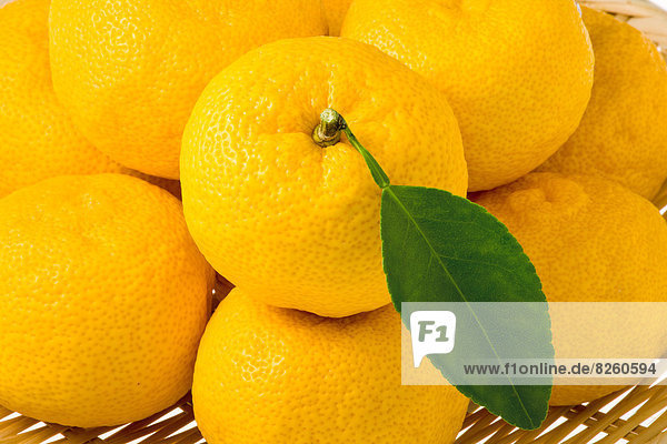 Yuzu
