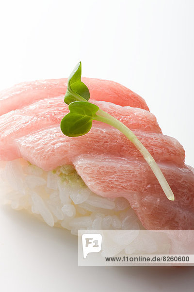 Fatty Tuna  Sushi
