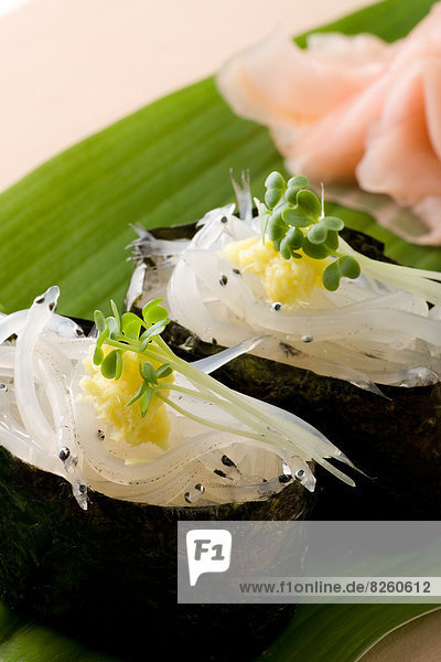 Salangidae  Sushi