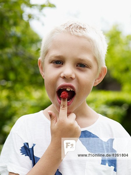 Portrait of boy eating raspberry