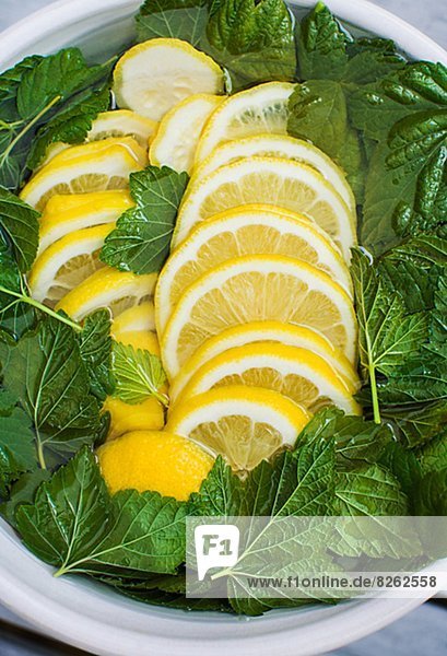 Wasser  Zitrusfrucht  Zitrone  aufgeschnitten
