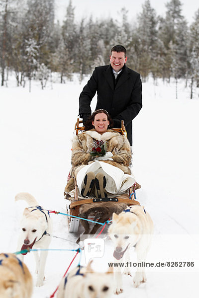 Newlywed couple on sleigh