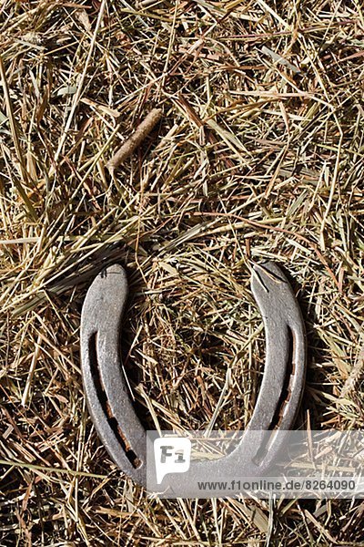 A horseshoe on hay  Sweden.
