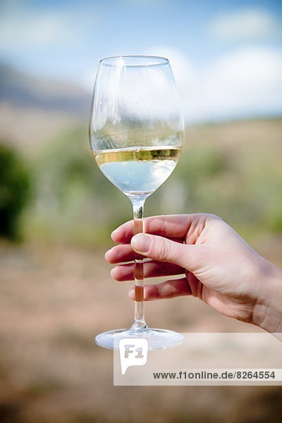 Close-up of glass with white wine