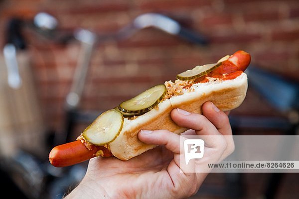 Hot Dog Hot Dogs halten