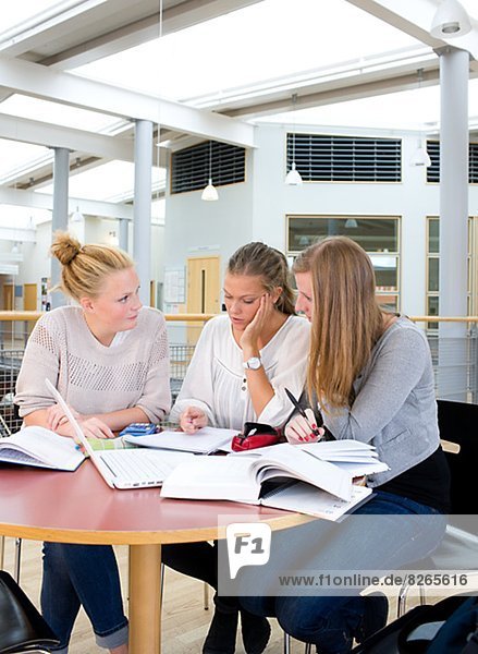 Junge Frauen studying together