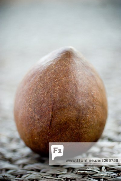 Studio shot of avocado
