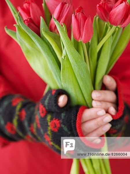 halten  rot  Tulpe