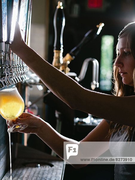 Schönheit  eingießen  einschenken  San Diego  Bier  Brauerei