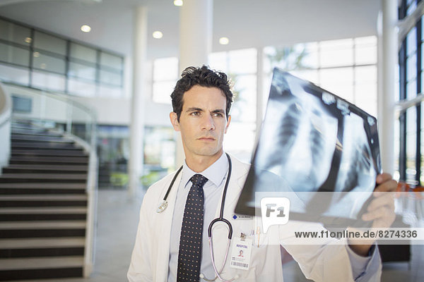 Arzt beim Betrachten von Thorax-Röntgenaufnahmen im Krankenhaus
