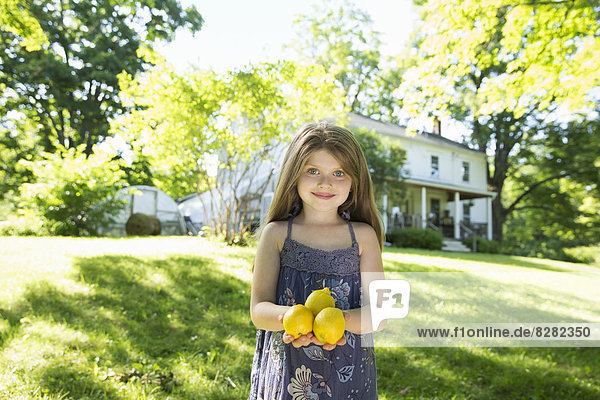 Im Sommer im Freien. Auf dem Bauernhof. Ein Mädchen im Garten mit drei großen Zitronenfrüchten in der Hand.