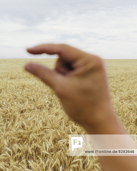A Human Hand With The Tips Of The Finger And Thumb Close Together. Framing The Line Of The Horizon