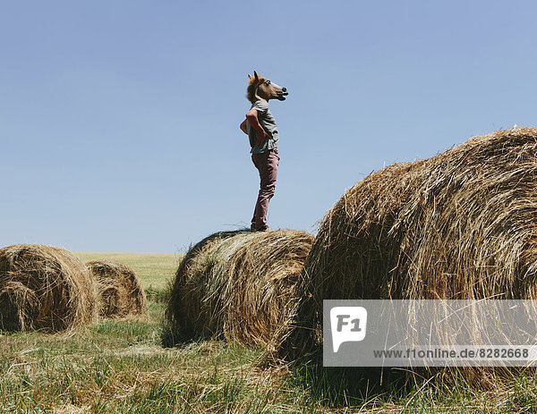 A Man Wearing A Horse Mask  Standing On A Hay Bale  Looking Out Over The Landscape.