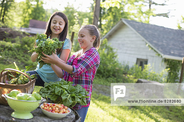 Organic Farm. Summer Party. Two Young Girls Preparing Salads.