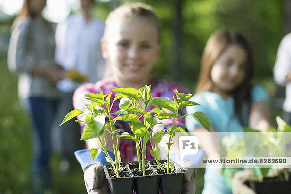 Organic Farm. Summer Party. A Young Girl Holding Out A Tray Of Seedling Plants.