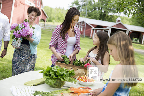Familienfeier. Fünf Personen  Eltern und Kinder an einem Tisch  die gemeinsam eine Mahlzeit mit frisch gepflückten Salaten  Obst und Gemüse zubereiten.