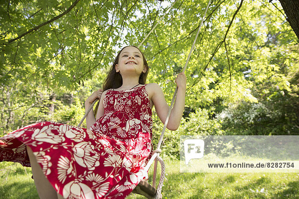 Sommer. Ein Mädchen in einem Sonnenkleid auf einer Schaukel  die von den Zweigen eines Baumes herabhängt.