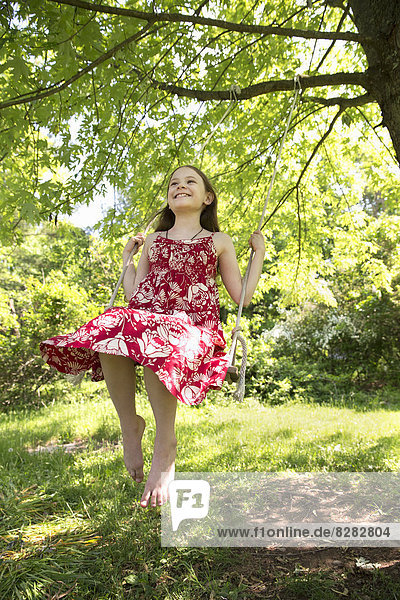 Sommer. Ein Mädchen in einem Sonnenkleid auf einer Schaukel,  die vom Ast eines blattreichen Baumes schwingt.