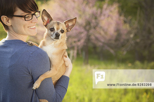 A Young Woman In A Grassy Field In Spring. Holding A Small Chihuahua Dog In Her Arms. A Pet.