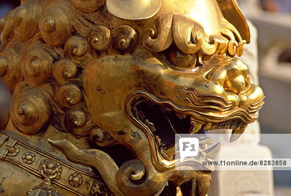 Peking  Hauptstadt  Großstadt  chinesisch  Statue  verboten  China  Drache