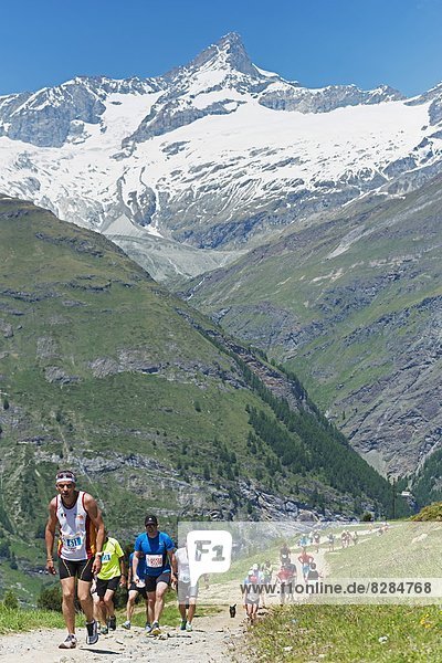 Runners in the Zermatt Marathon and the Matterhorn  Valais  Swiss Alps  Switzerland  Europe
