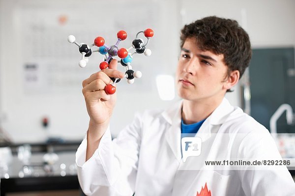 Junger Mann mit molekularem Modell