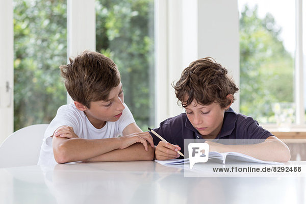 Brüder arbeiten gemeinsam an Hausaufgaben