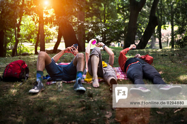 Drei Freunde liegen auf einer Picknickdecke im Park.