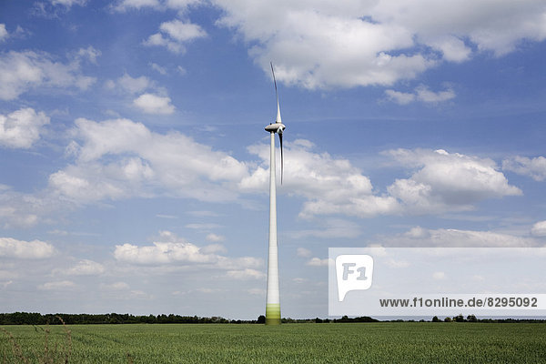 Germany  Brandenburg  wind turbines in green field