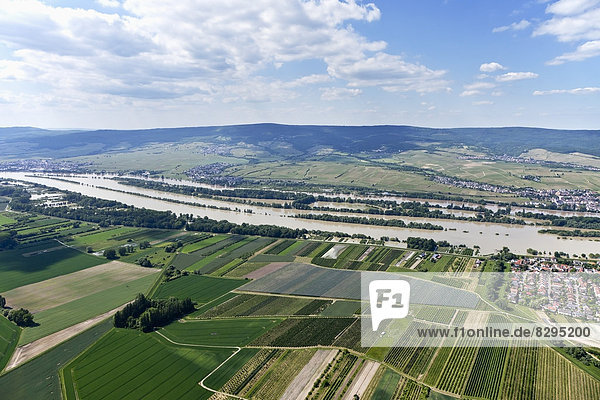 Deutschland  Rheinland-Pfalz  Rheinhochwasser bei Heidenfahrt  Luftbild
