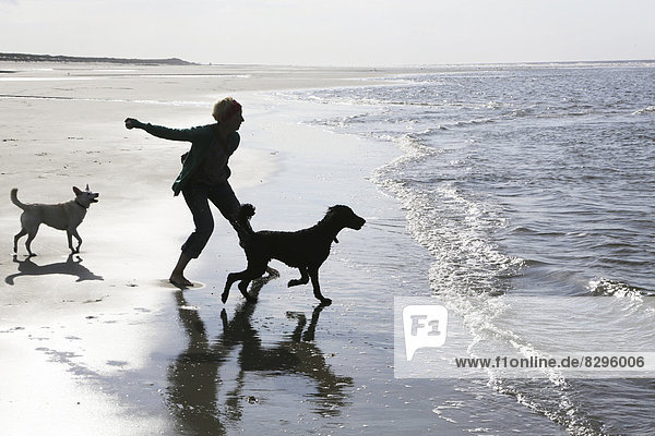 Germany  Lower Saxony  East Frisia  Langeoog  woman playing with her dogs at the beach