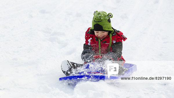 smiling little boy sledging down a hill