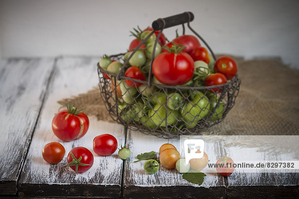Verschiedene rote und grüne Tomaten im Drahtkorb  Studioaufnahme