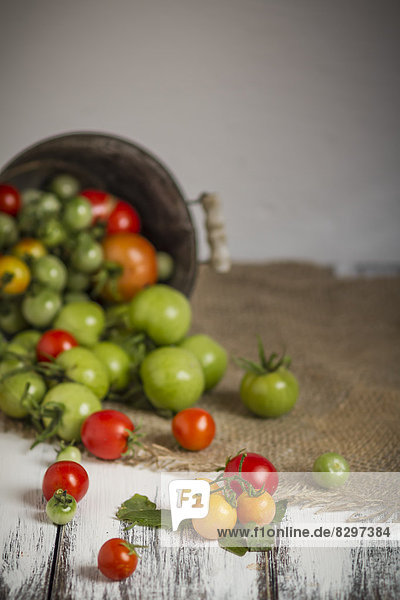 Different red and green tomatoes in bucket  studio shot