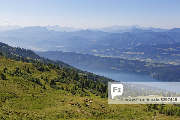 Österreich  Kärnten  Nockberge  Millstätter Alpe  Blick auf den Millstätter See