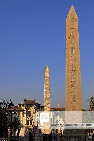 Truthuhn  Europa  Wand  Hintergrund  Fokus auf den Vordergrund  Fokus auf dem Vordergrund  Istanbul  Obelisk  Türkei