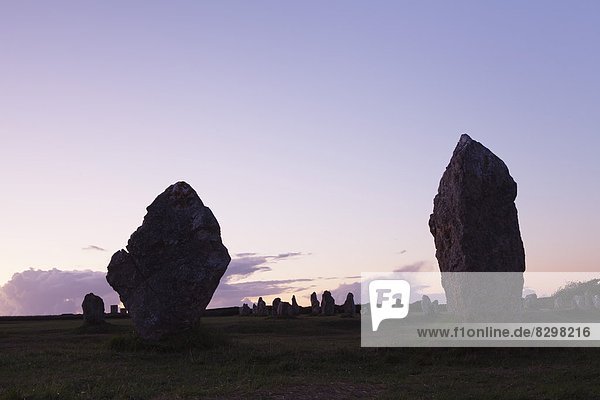 Megaliths of Alignements de Lagatjar  Camaret  Rade de Brest  Brittany  France  Europe