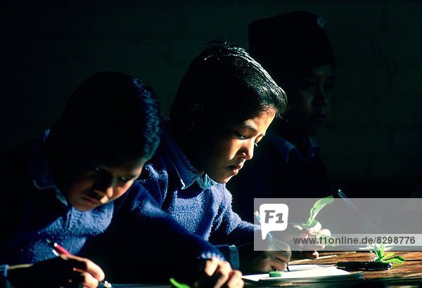 Schoolboys at work during a Biology lesson at a school in Kathmandu  Nepal