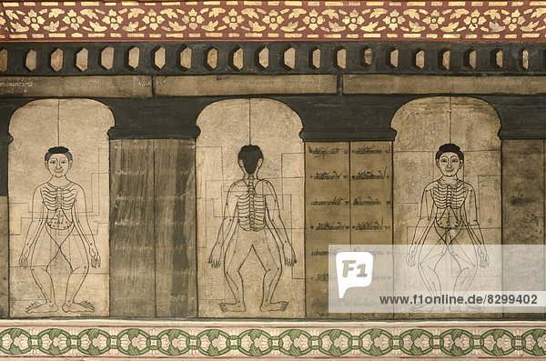 Bangkok  Hauptstadt  Detail  Details  Ausschnitt  Ausschnitte  zeigen  Streß  flirten  Massage  früh  Südostasien  Längenkreis  Asien  Jahrhundert  Thailand