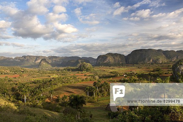 Westindische Inseln  Mittelamerika  UNESCO-Welterbe  Pinar Del Rio  Viñales  Kuba
