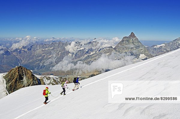 Climbers on Breithorn mountain  with the Matterhorn in the background  Zermatt  Valais  Swiss Alps  Switzerland  Europe