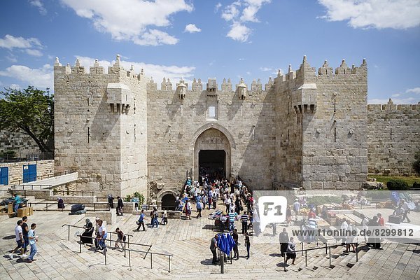 Damascus Gate in the Old City  UNESCO World Heritage Site  Jerusalem  Israel  Middle East