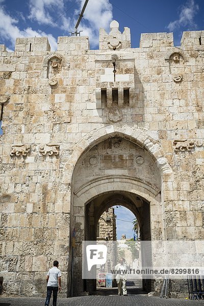 The Lions Gate in the Old City  UNESCO World Heritage Site  Jerusalem  Israel  Middle East