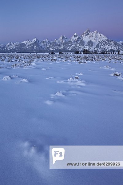 Vereinigte Staaten von Amerika  USA  Frische  Morgendämmerung  Nordamerika  Schnee  Wyoming