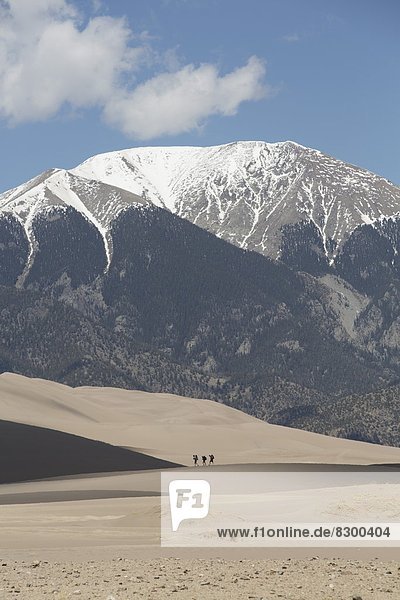 Hikers on the sand dunes  Great Sand Dunes National Park and Preserve  with Sangre Cristo Mountains in the background  Colorado  United States of America  North America