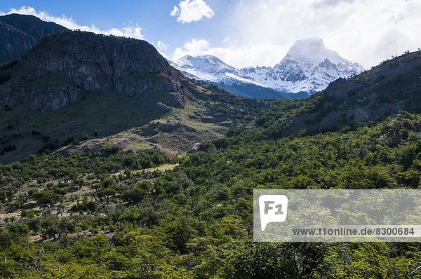 Fitz Roy  Cerro Fitzroy Cerro Chaltén  FitzRoy  hoch  oben  Berg  Reise  UNESCO-Welterbe  Argentinien  Patagonien  Südamerika