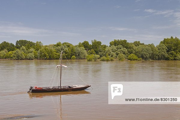 Frankreich Europa Tradition Boot Fluss Loire Loir-et-Cher