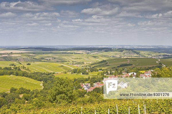Looking down on the village of Amigny near to Sancerre  an area famous for its wine  Cher  Centre  France  Europe